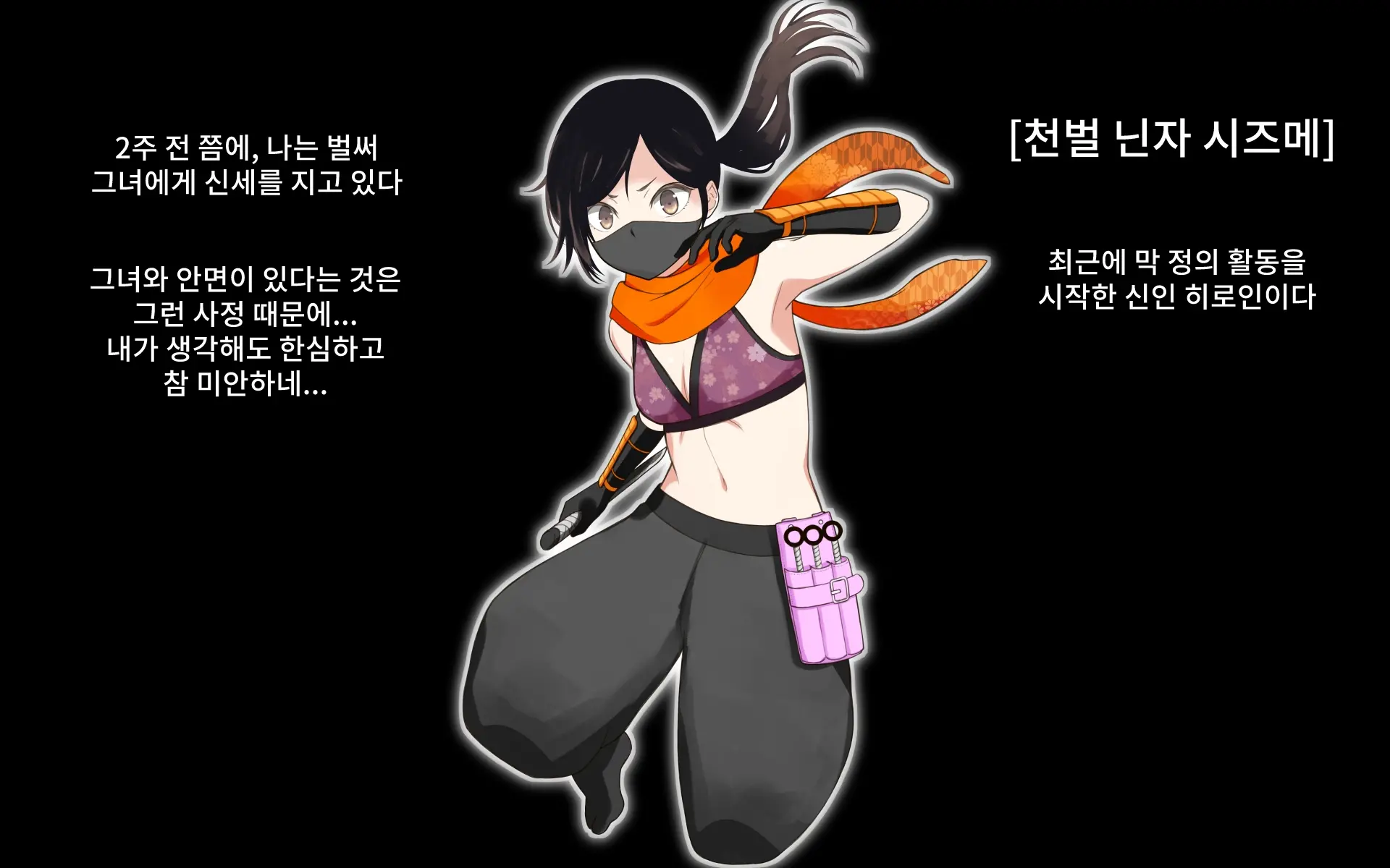 Seigi No Heroine Tatakai No Kiroku | 정의의 히로인 전투기록